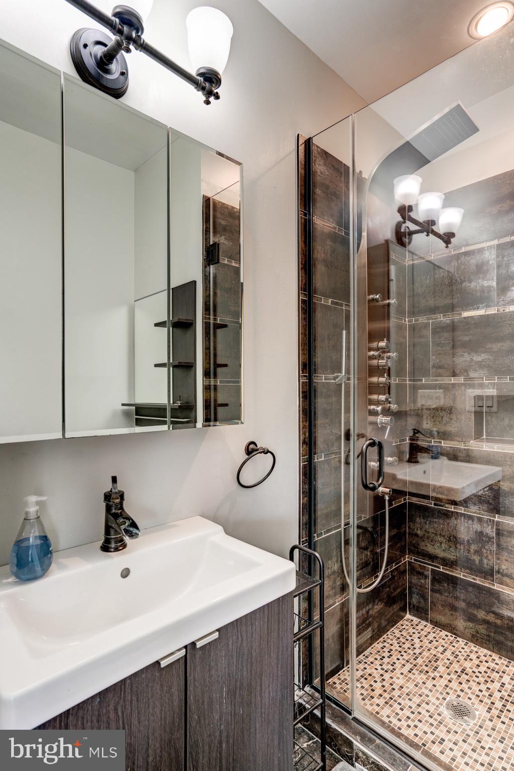 1016 G Street Southeast Washington, DC 20003 - Photo 33 of 56 a bathroom with a sink and a mirror