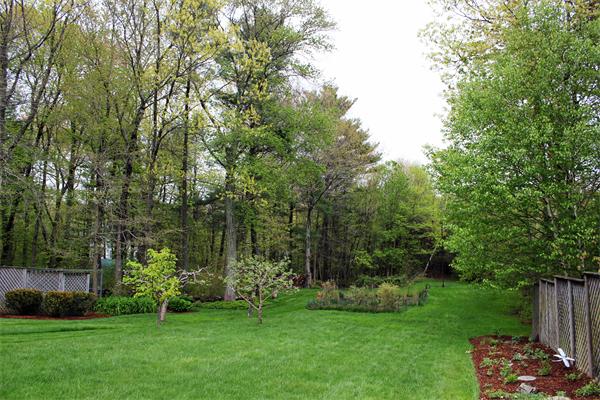 6 Blueberry Hill Road Medway, MA 02053 - Photo 18 of 23 Gallery Image 18