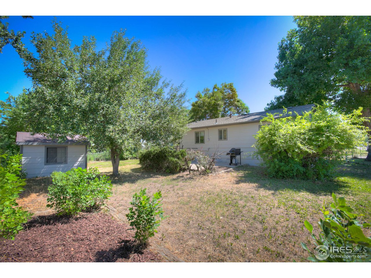 401 Lyons Street Fort Collins, CO 80521 - Photo 20 of 20 a view of a backyard with plants and a large tree