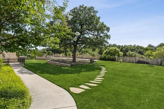 a view of a backyard