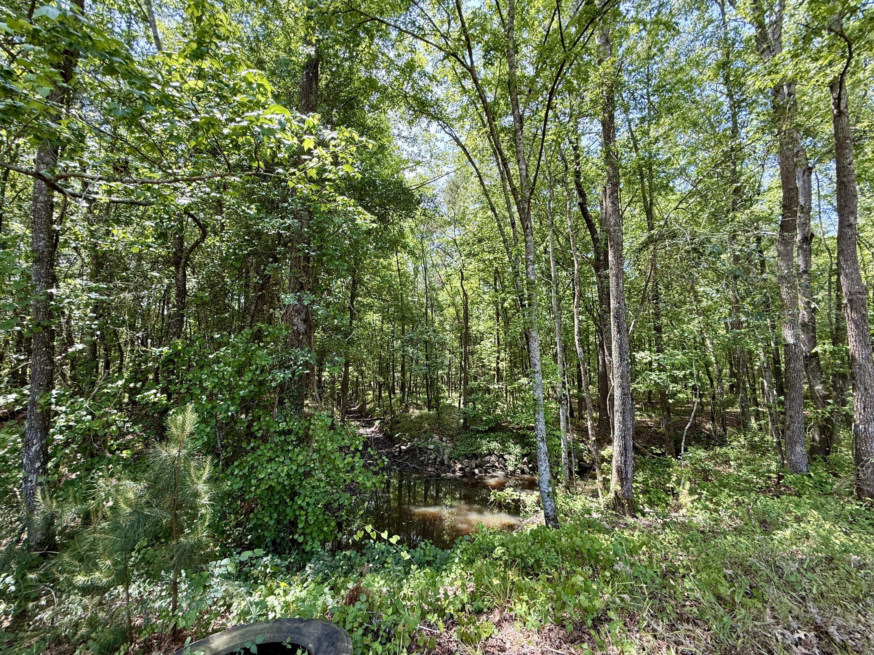 337 Weathers Farm Road Bowman, SC 29018 - Photo 54 of 78 IMG_1846