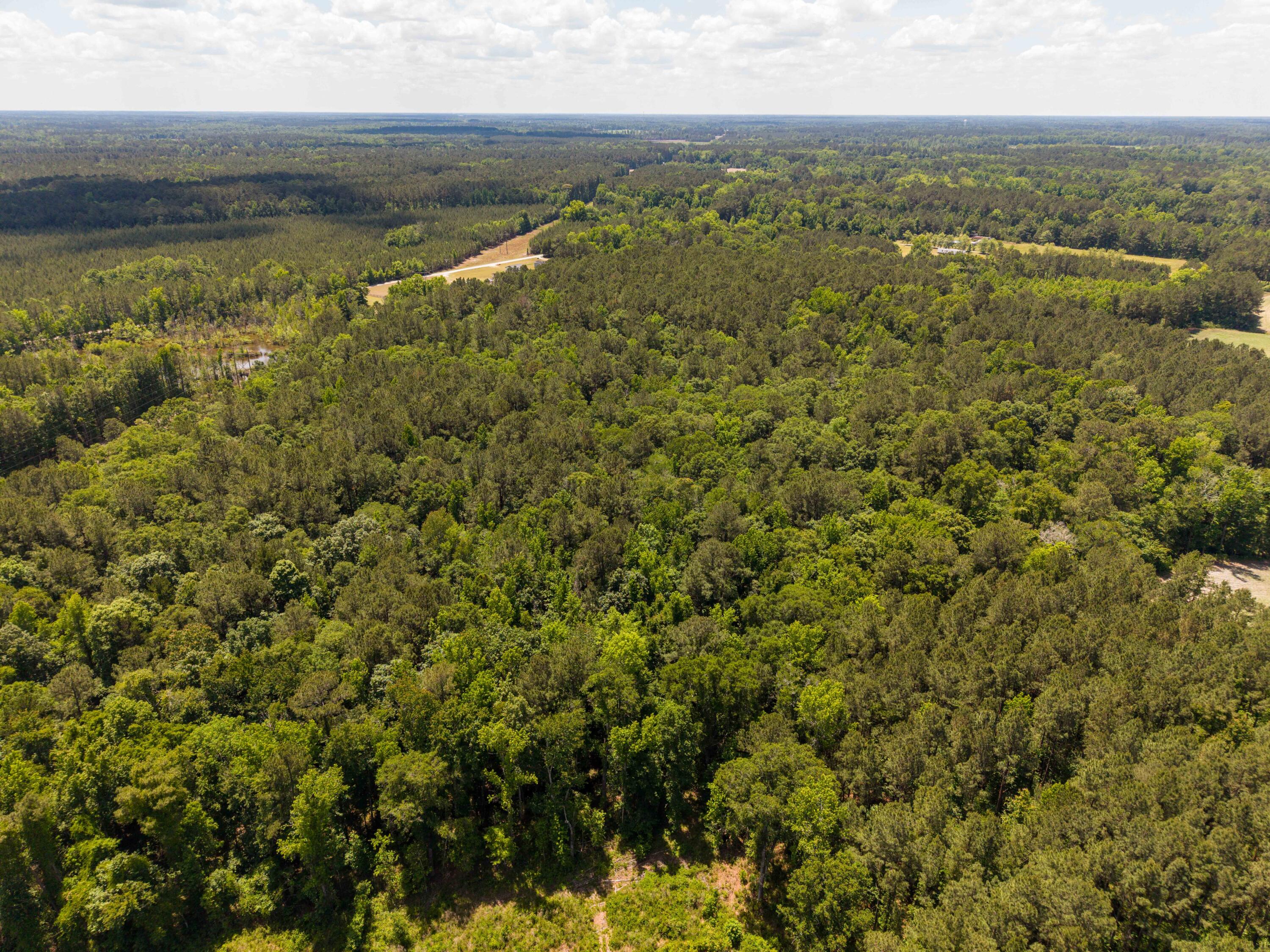 337 Weathers Farm Road Bowman, SC 29018 - Photo 77 of 78 WF Aerial 9