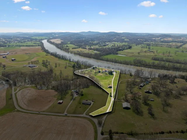 a large tree in front of a white house