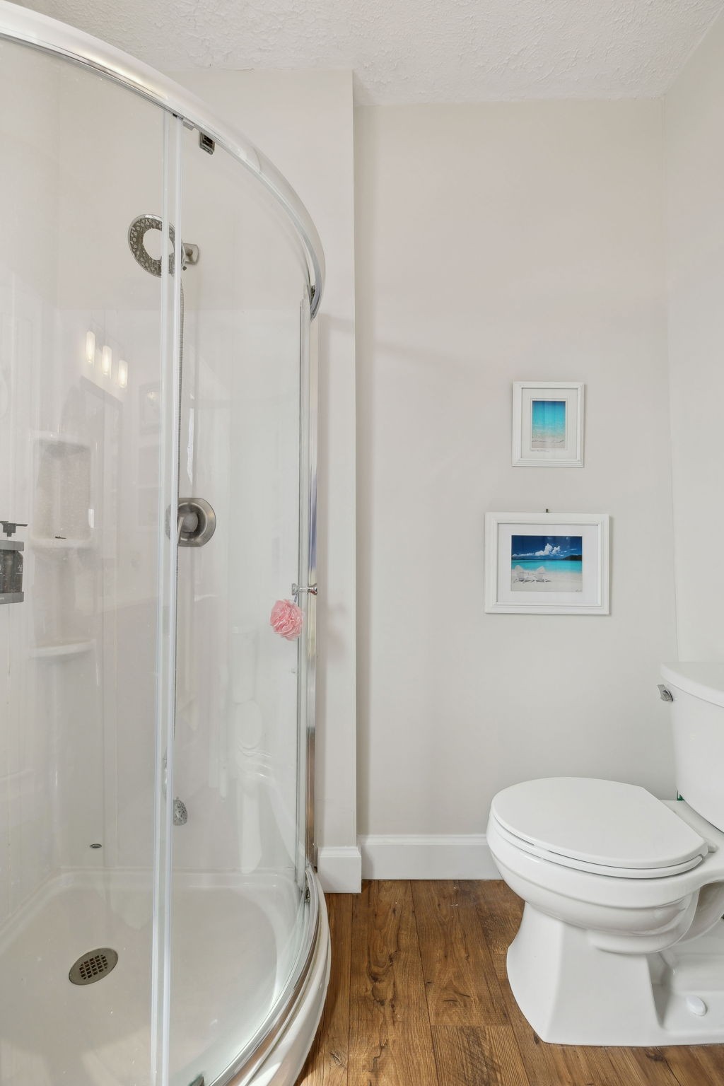 20 Bledsoe Borough Lane Riddleton, TN 37151 - Photo 39 of 72 a bathroom with a toilet and a shower