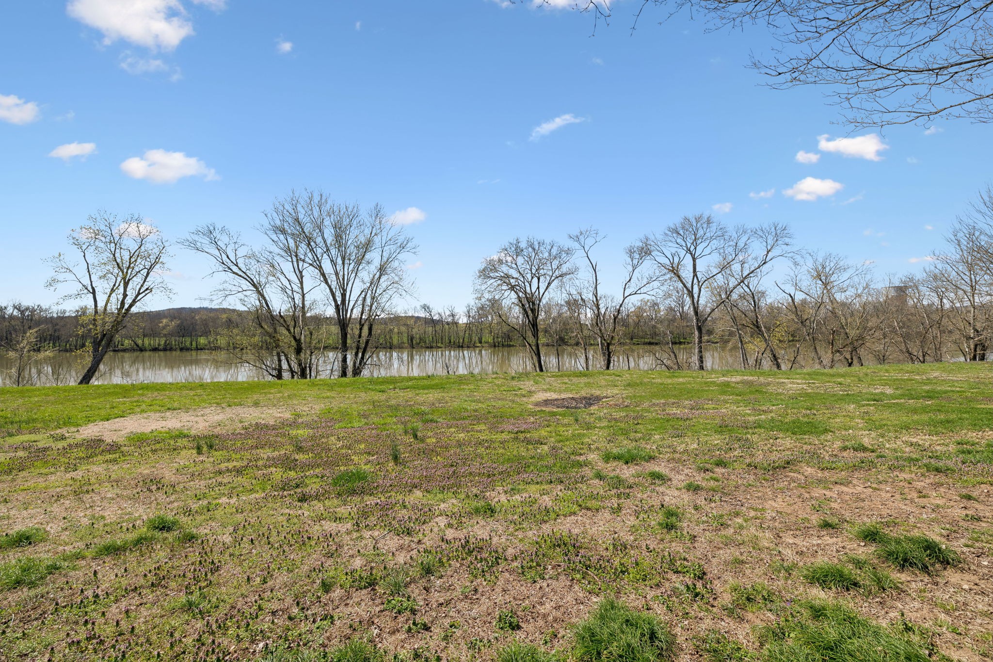 20 Bledsoe Borough Lane Riddleton, TN 37151 - Photo 54 of 72 a view of field with trees
