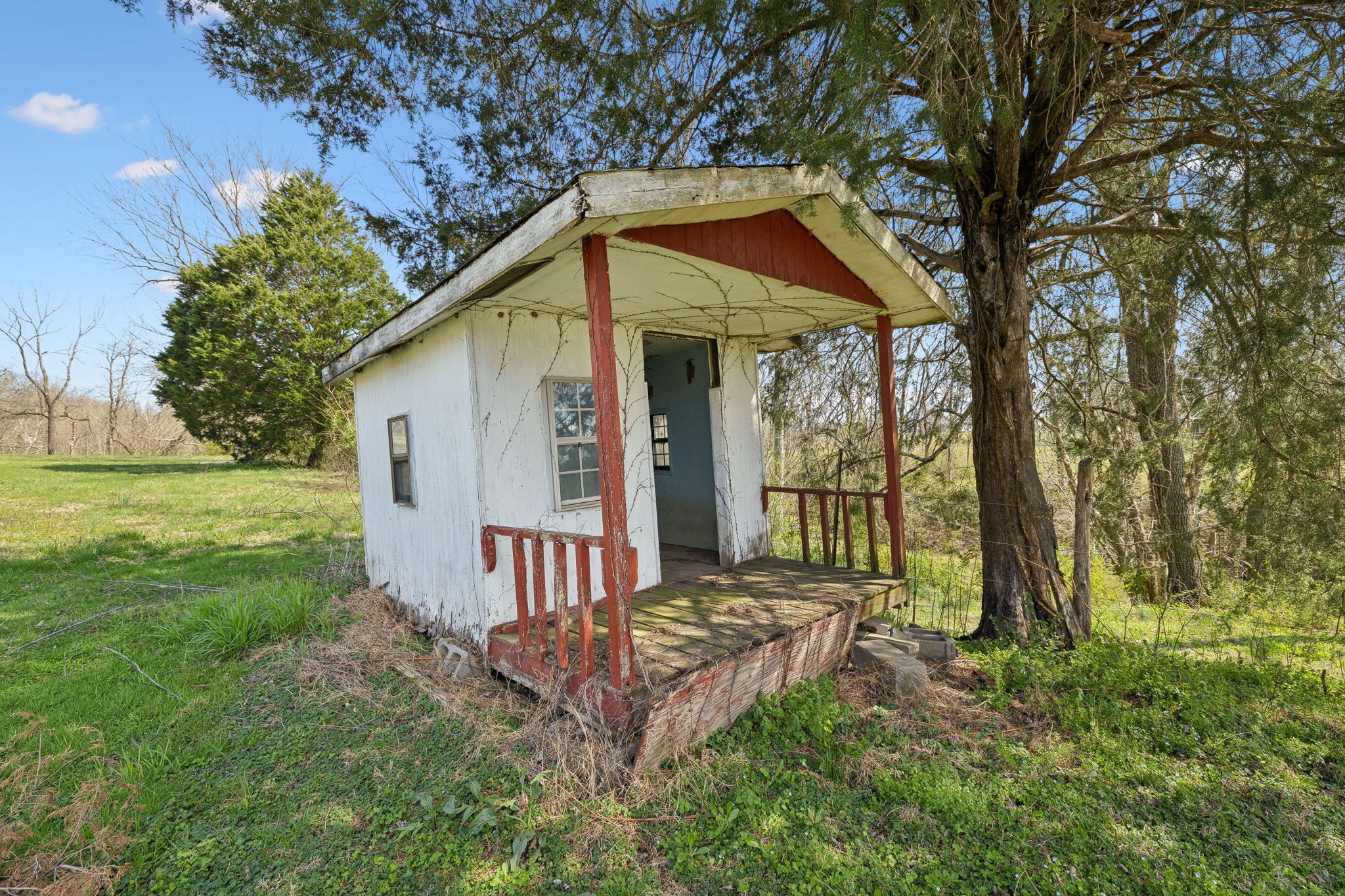 20 Bledsoe Borough Lane Riddleton, TN 37151 - Photo 57 of 72