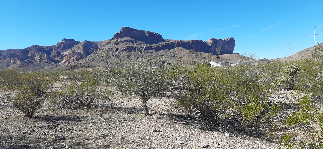 west view from property