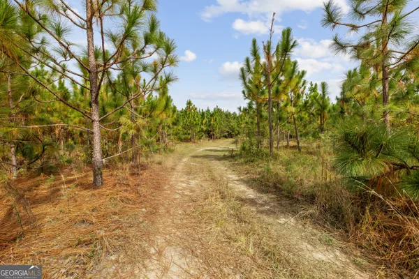 a view of backyard with green space