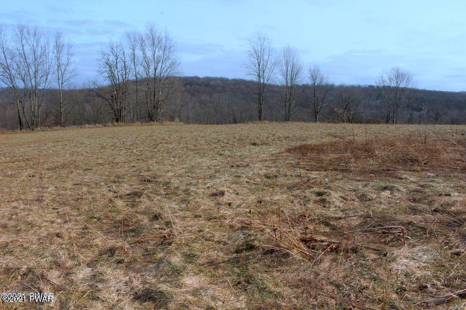 100 Bortree Road Moscow, PA 18444 - Photo 2 of 19 20210317221642111521000000-o