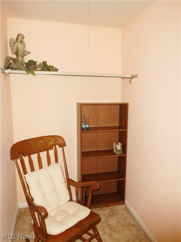 8721 Webster Road Strongsville, OH 44136 - Photo 10 of 13 Bedroom 3 closet!