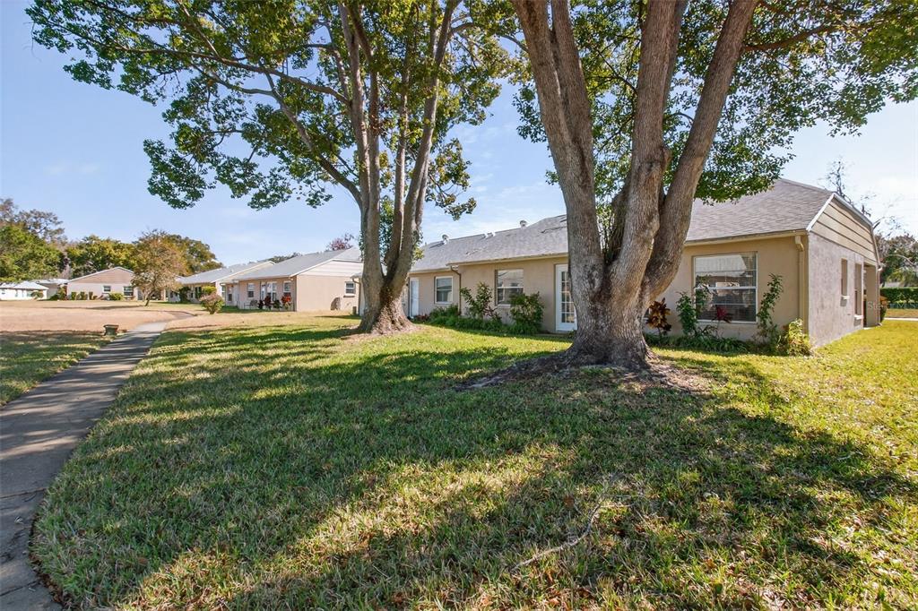 4841 Boonesboro Court New Port Richey, FL 34655 - Photo 26 of 44 a view of a house with a yard