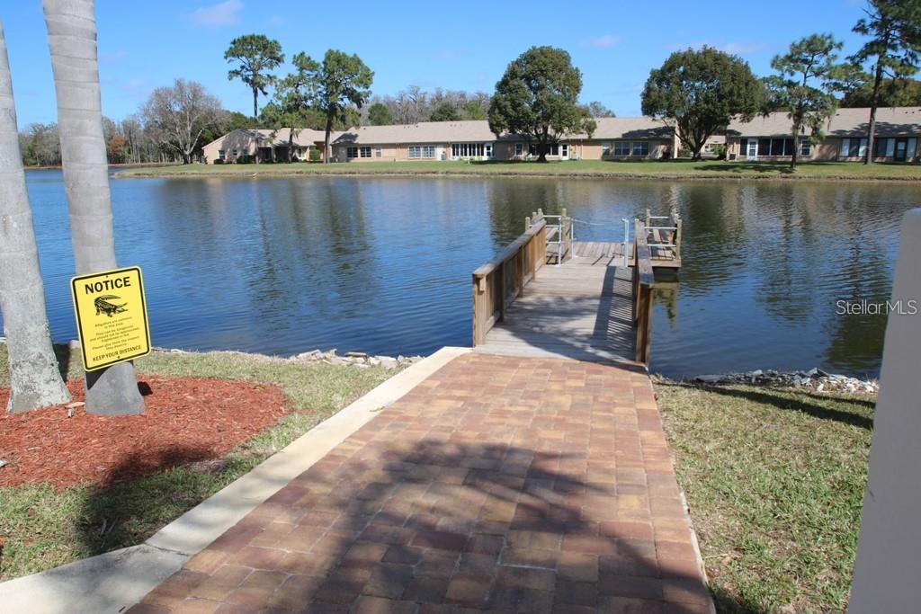 4841 Boonesboro Court New Port Richey, FL 34655 - Photo 40 of 44 a house view with a lake view