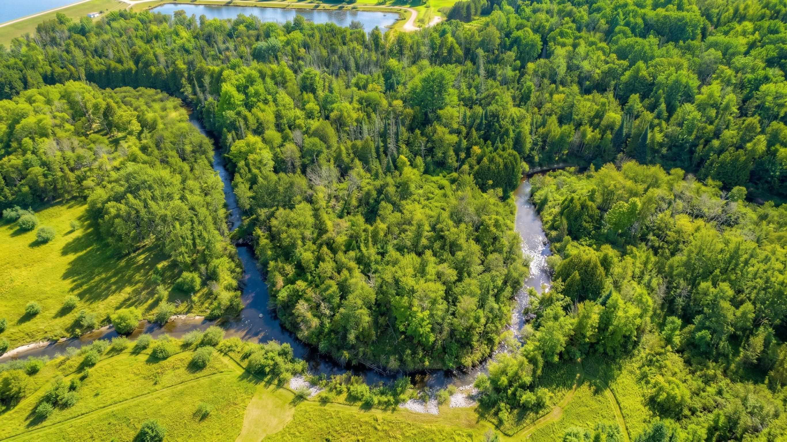 35.11-acres North Hockaday Road Gladwin, MI 48624 - Photo 2 of 83 Gallery Image 2