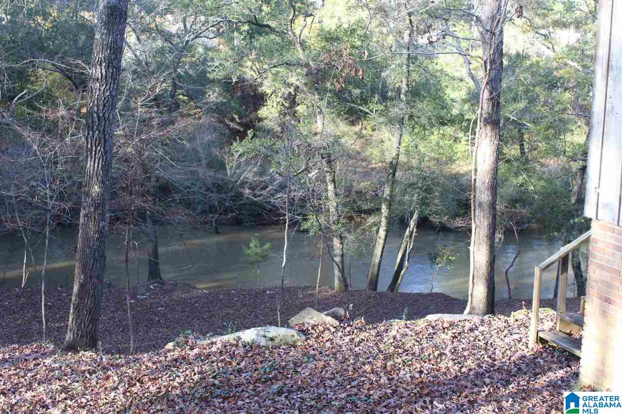 72 Bluegrass Lane Jasper, AL 35503 - Photo 6 of 23