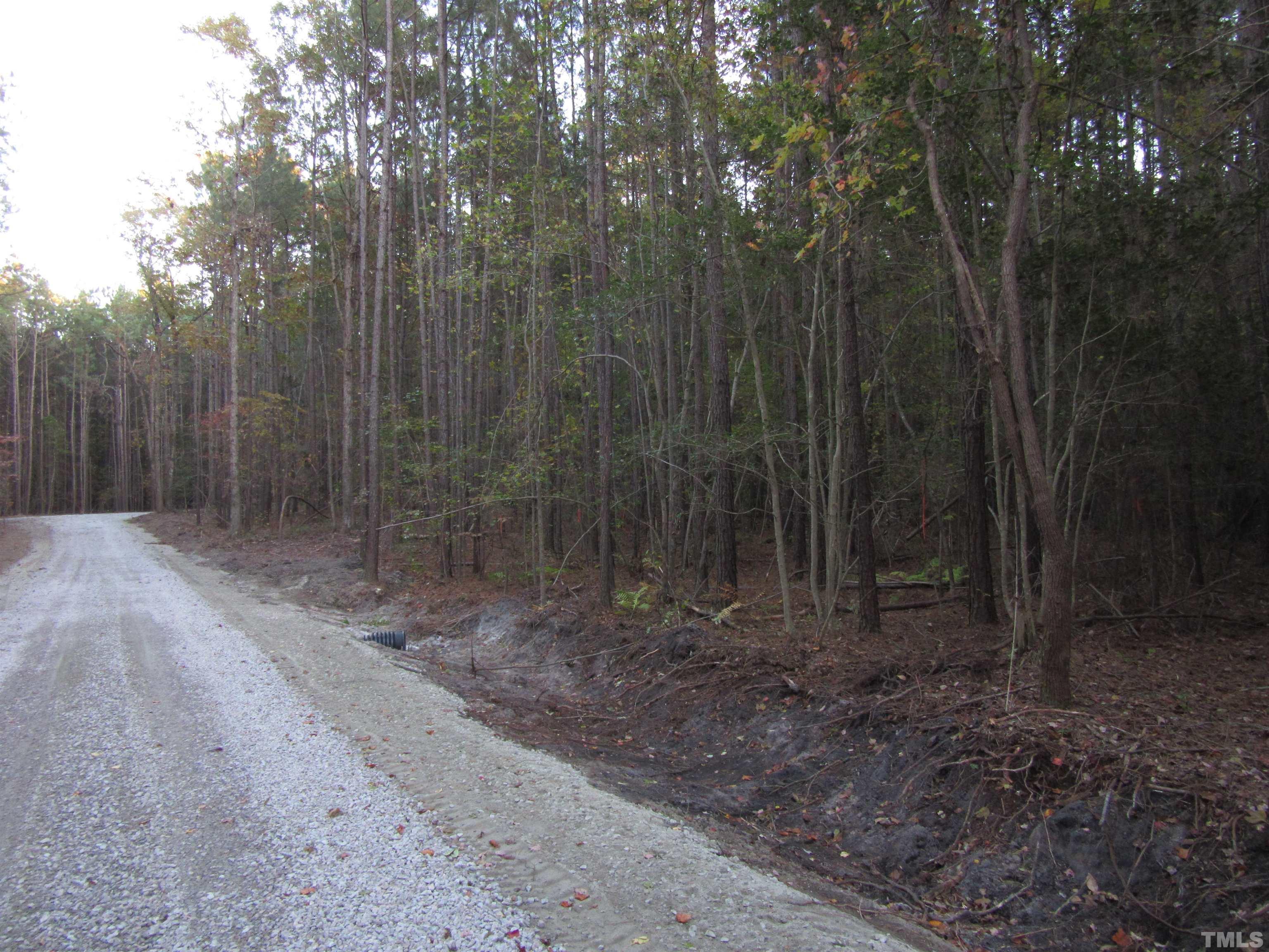 Lot 2 Lizard Lick Road Zebulon, NC 27597 - Photo 1 of 4 a view of a yard with trees in the background