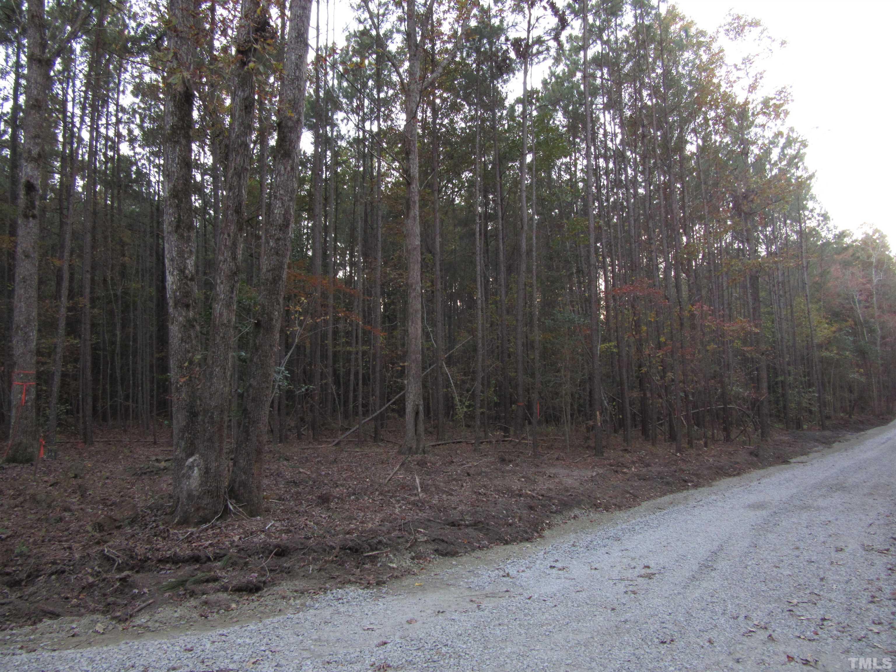 Lot 2 Lizard Lick Road Zebulon, NC 27597 - Photo 3 of 4 a view of a forest