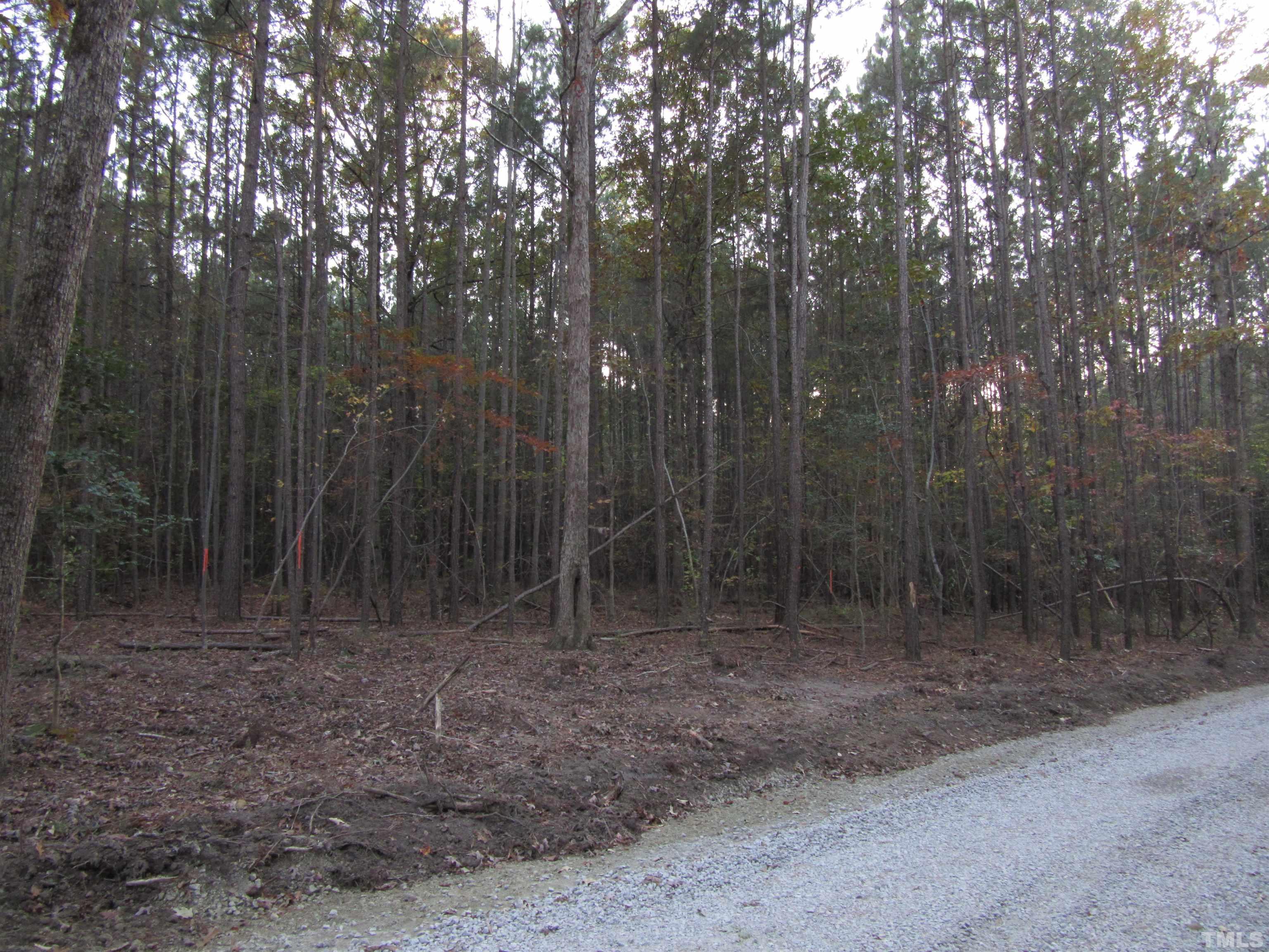 Lot 2 Lizard Lick Road Zebulon, NC 27597 - Photo 4 of 4 a view of a room with trees in the background