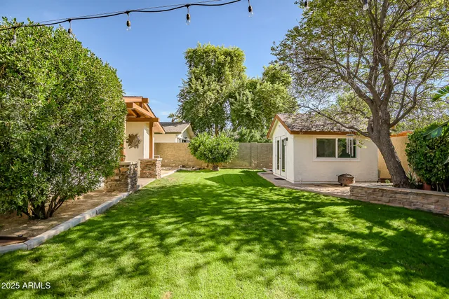 a view of a yard with plants and large trees