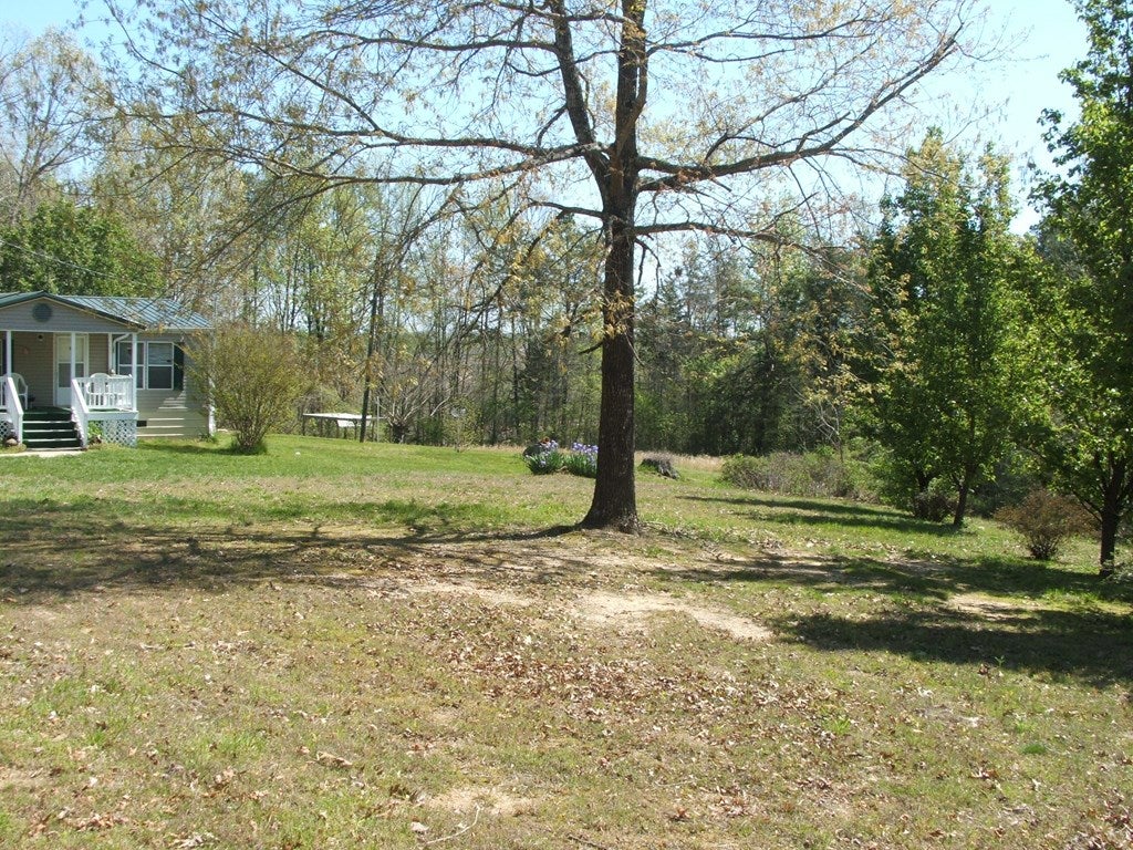 495 Newtown Road Randolph, VA 23962 - Photo 17 of 19 Gallery Image 17