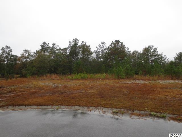 Lot 67 Marsh Tacky Loop Myrtle Beach, SC 29588 - Photo 1 of 9 Gallery Image 1