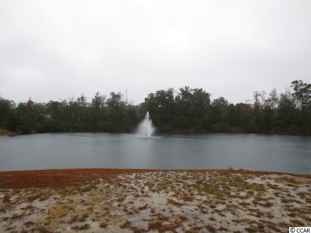 Lot 67 Marsh Tacky Loop Myrtle Beach, SC 29588 - Photo 2 of 9 Gallery Image 2
