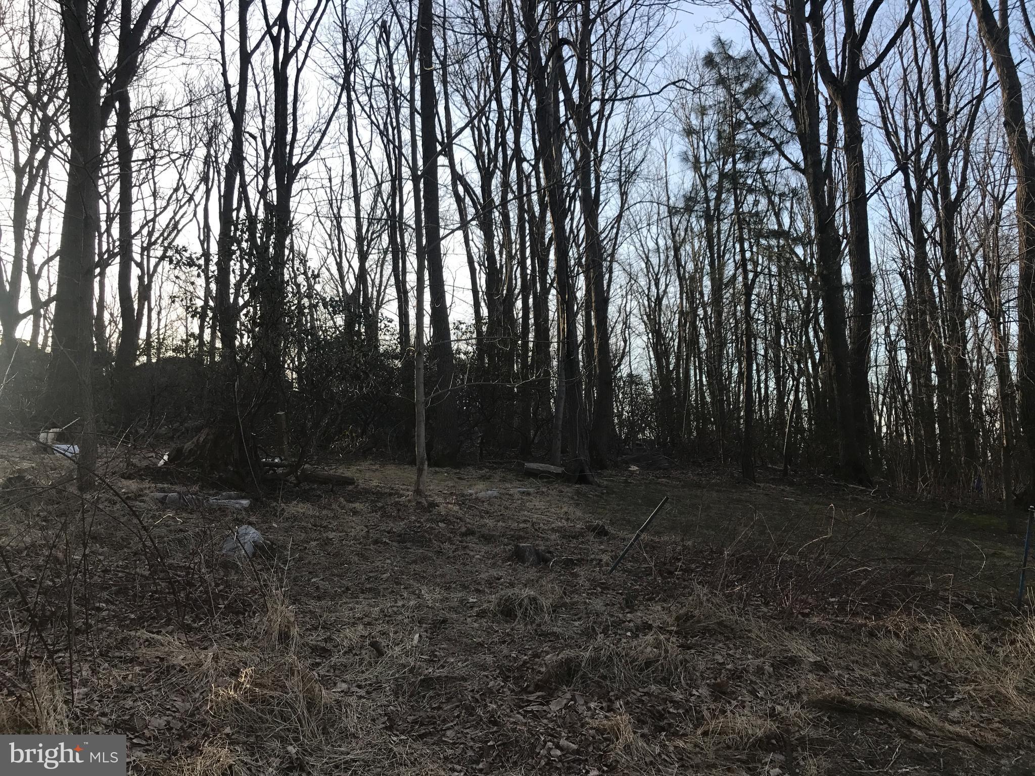 7603 Irongate Lane Frederick, MD 21702 - Photo 6 of 43 a view of outdoor space with trees
