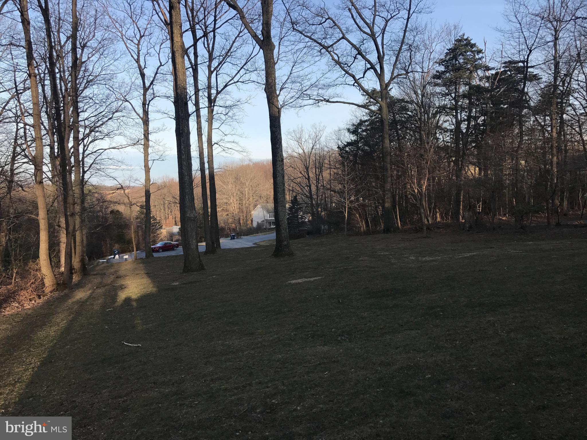 7603 Irongate Lane Frederick, MD 21702 - Photo 10 of 43 a view of road and trees