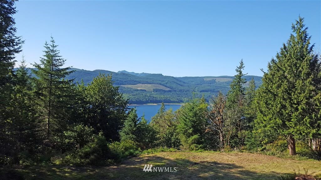 -xxx Sunset Ridge Mossyrock, WA 98564 - Photo 2 of 9 Gallery Image 2