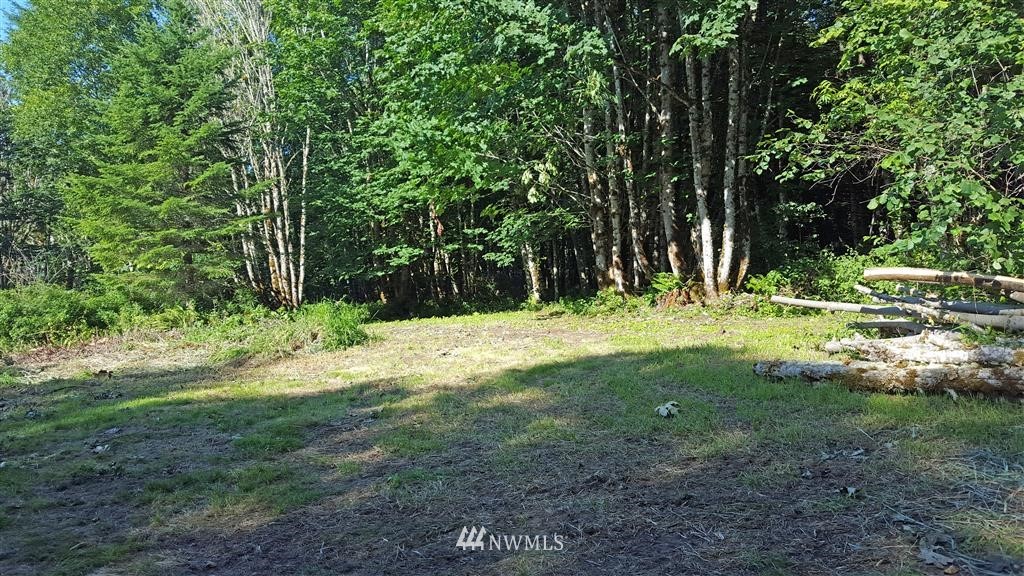 -xxx Sunset Ridge Mossyrock, WA 98564 - Photo 4 of 9 Gallery Image 4