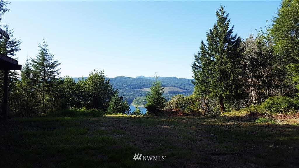 -xxx Sunset Ridge Mossyrock, WA 98564 - Photo 5 of 9 Gallery Image 5