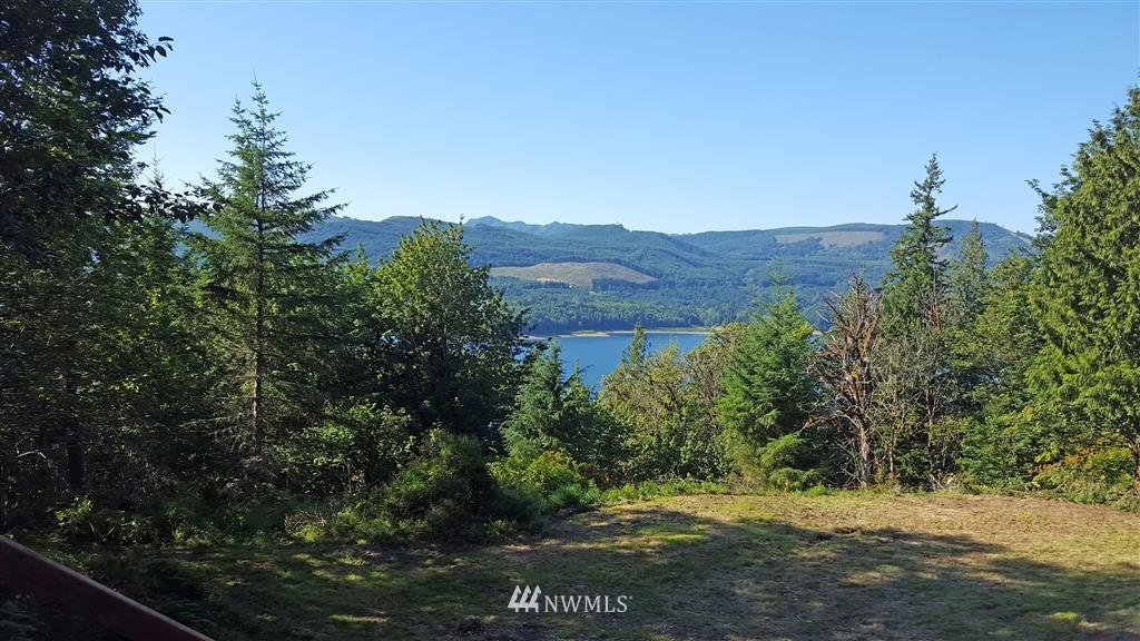 -xxx Sunset Ridge Mossyrock, WA 98564 - Photo 8 of 9 Gallery Image 8