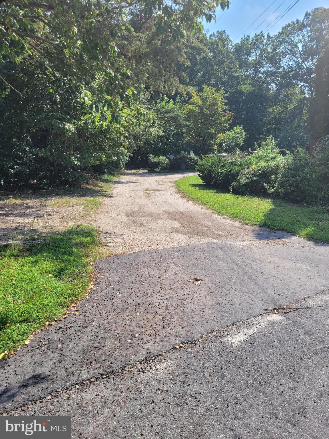 0 South Burlington Road Bridgeton, NJ 08302 - Photo 2 of 18 a view of a yard with a tree