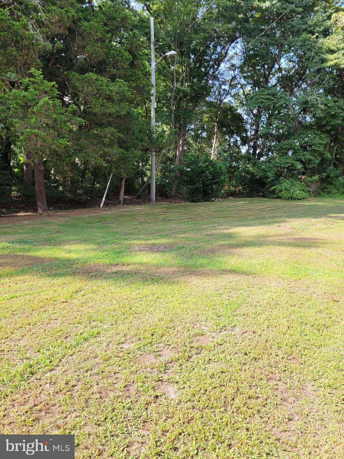 0 South Burlington Road Bridgeton, NJ 08302 - Photo 4 of 18 a view of a field with an trees