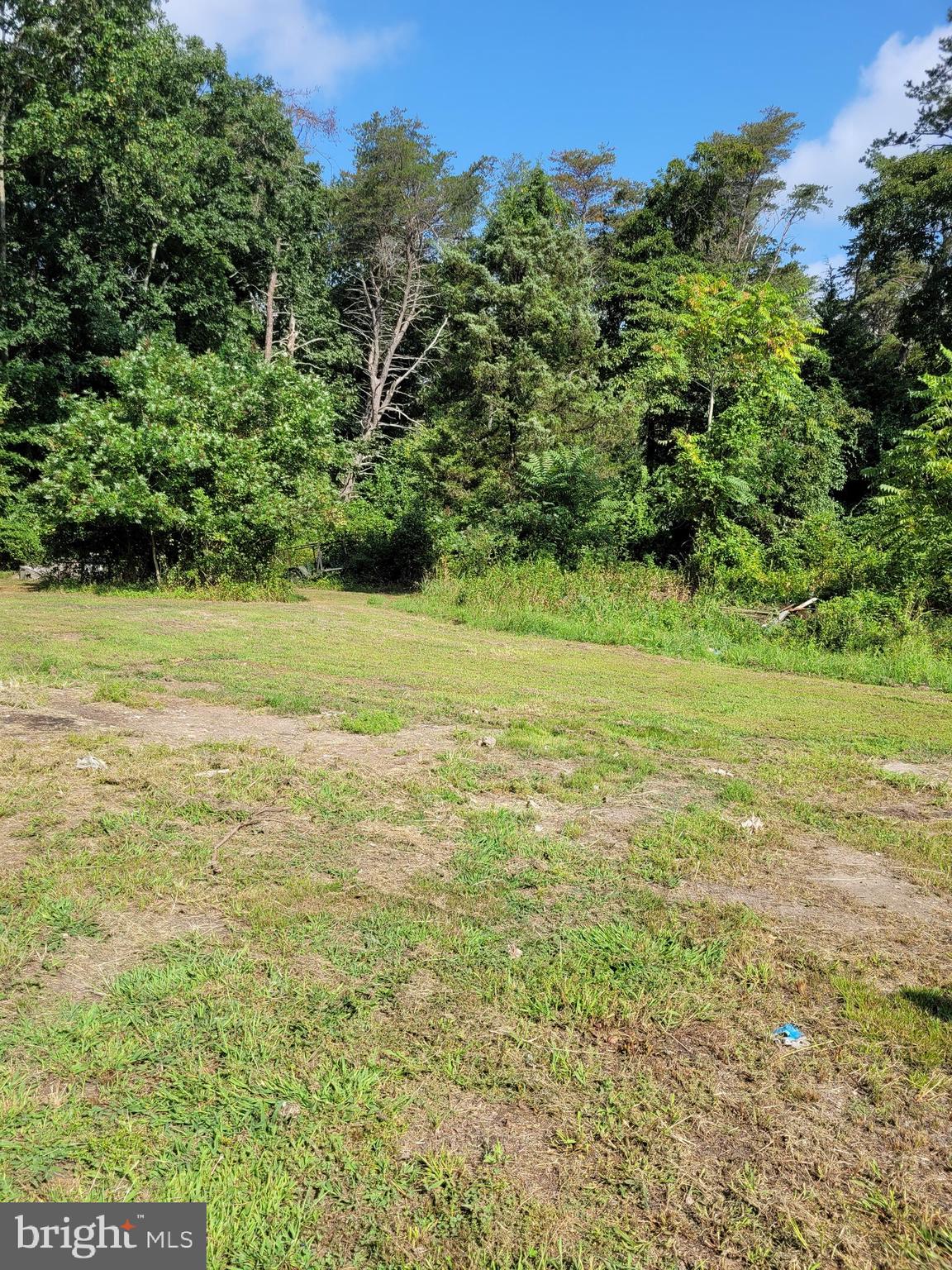 0 South Burlington Road Bridgeton, NJ 08302 - Photo 6 of 18 a big yard with lots of green space