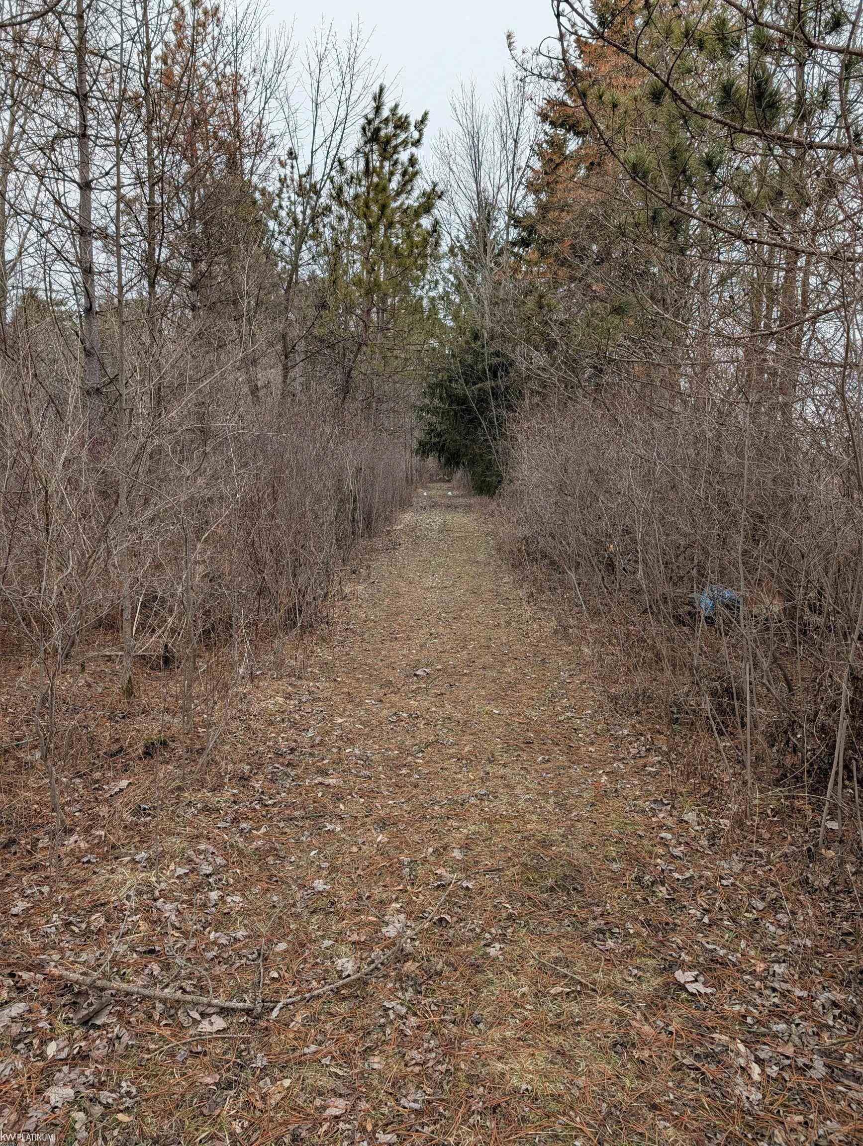 9072 Green Road Goodells, MI 48027 - Photo 39 of 73