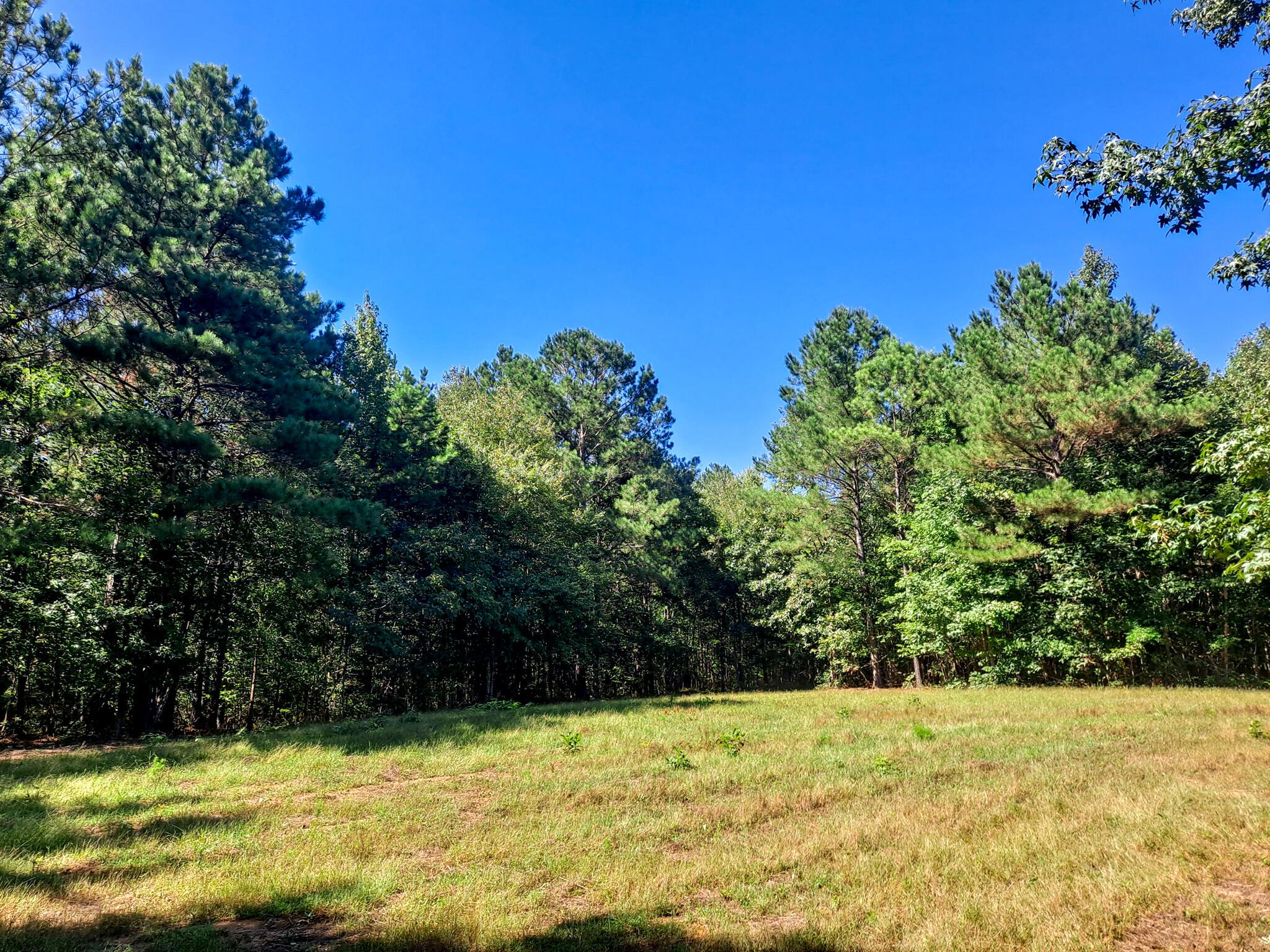 Albert Windham Road Nauvoo, AL 35578 - Photo 7 of 23 Gallery Image 7