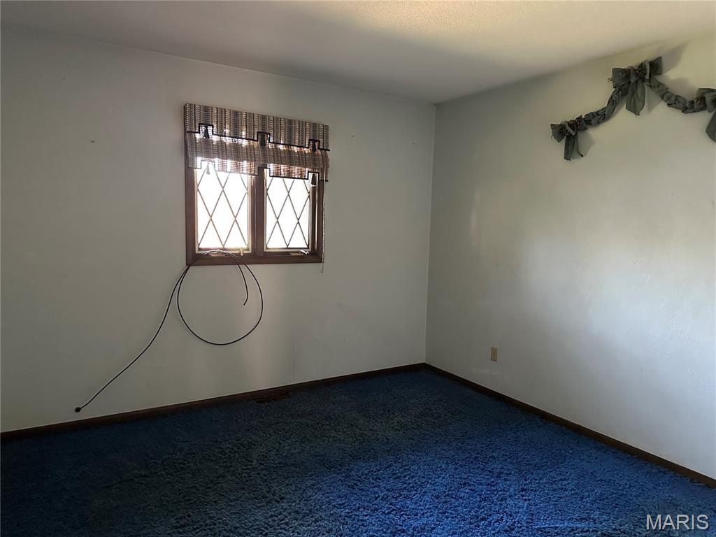 801 North James Street Sparta, IL 62286 - Photo 12 of 20
