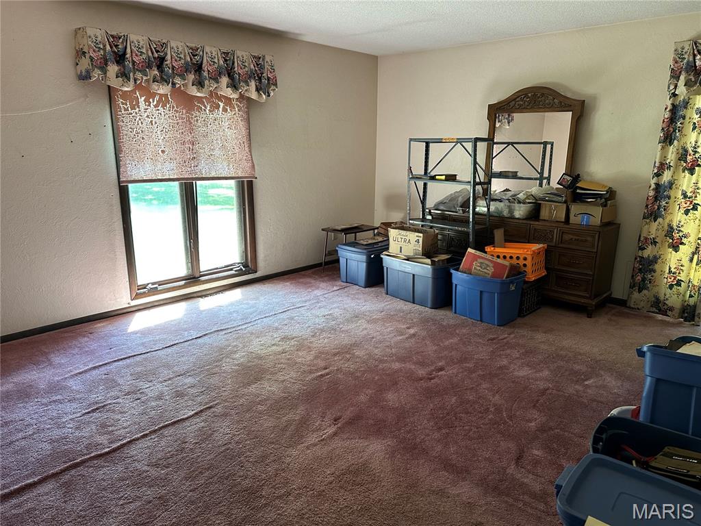 801 North James Street Sparta, IL 62286 - Photo 15 of 20