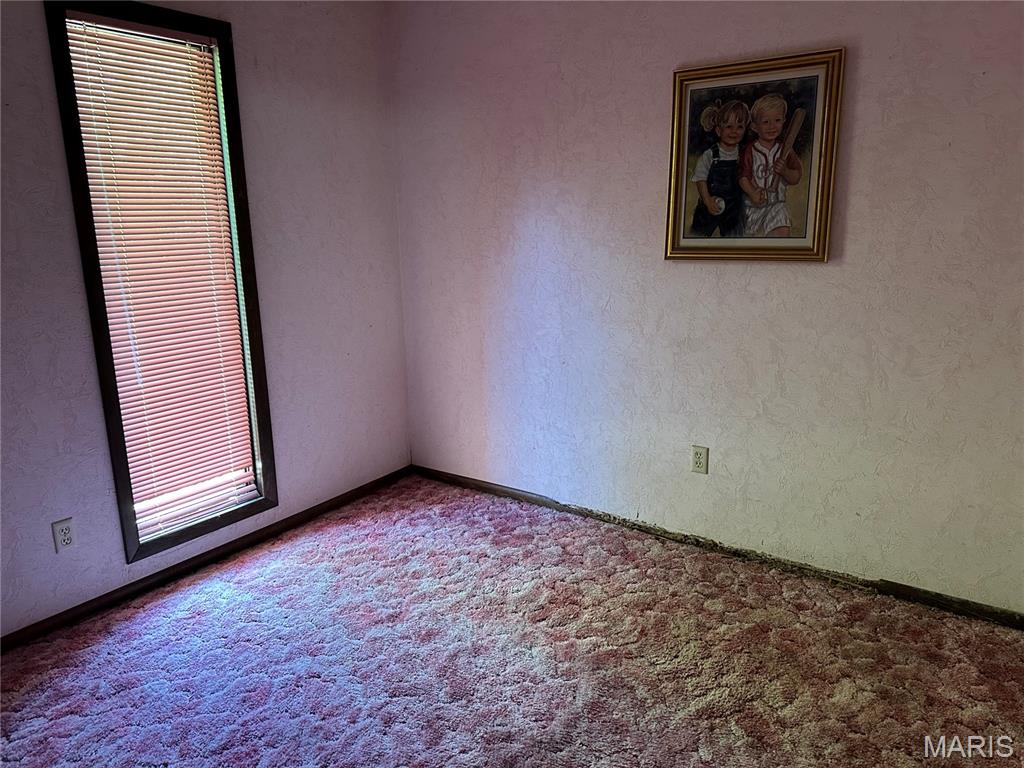 801 North James Street Sparta, IL 62286 - Photo 19 of 20