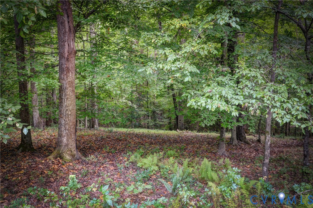 8615 Historical Path Road New Kent, VA 23124 - Photo 49 of 50