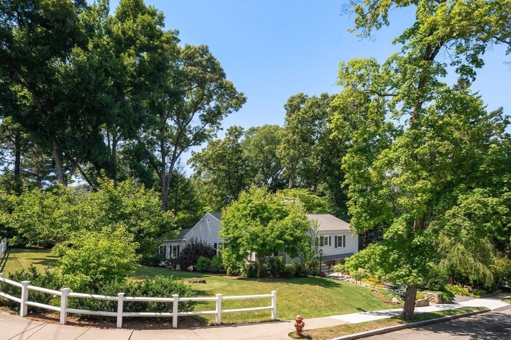 19 Druid Hill Road Newton, MA 02461 - Photo 3 of 35