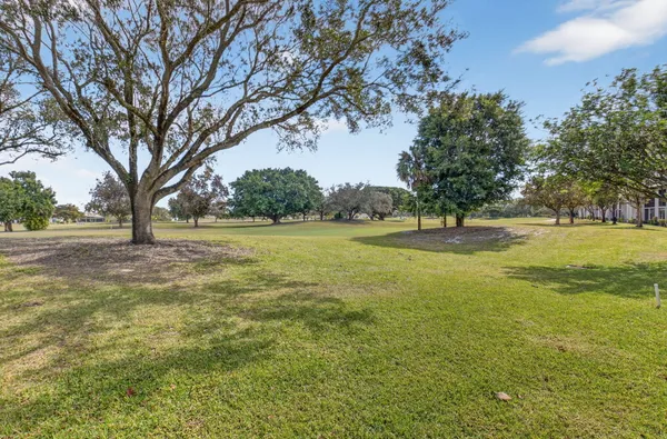 a view of a field with trees in the background