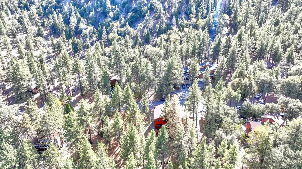 23109 Cardinal Road Wrightwood, CA 92397 - Photo 47 of 49