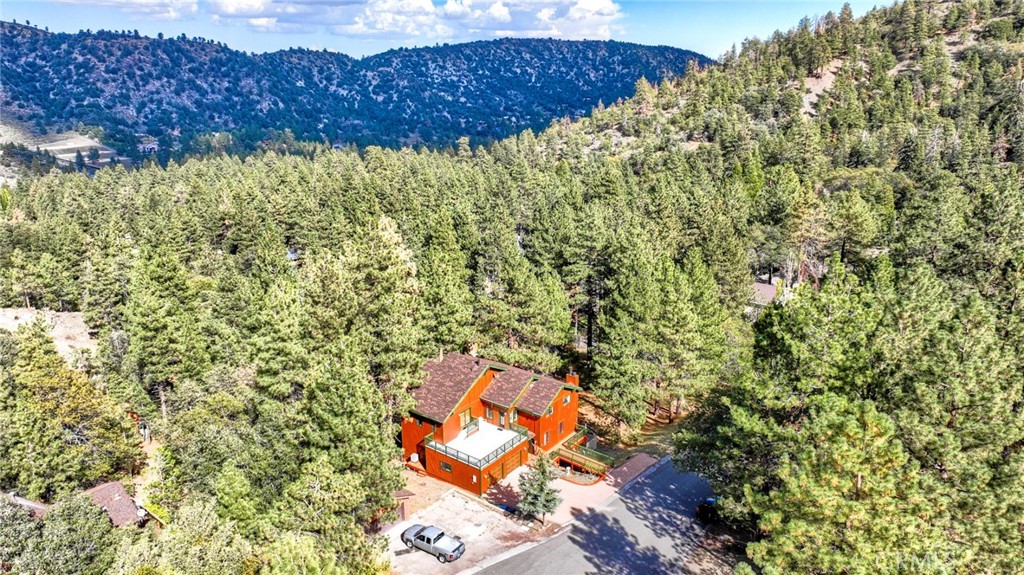 23109 Cardinal Road Wrightwood, CA 92397 - Photo 48 of 49 a view of outdoor space and garden