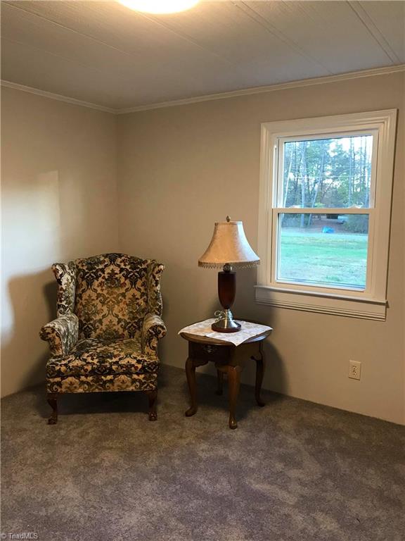1751 Brown Road Summerfield, NC 27358 - Photo 14 of 20