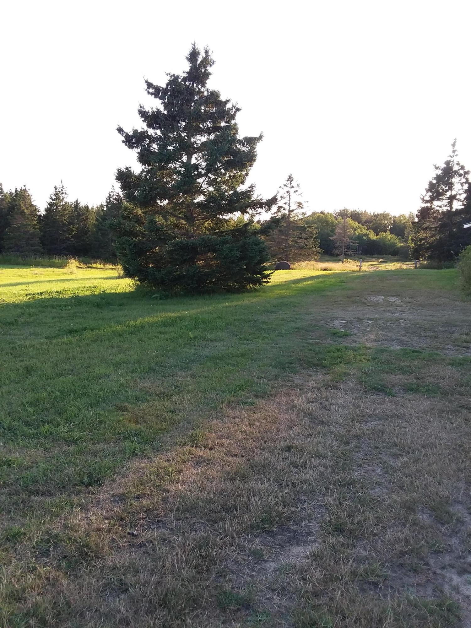 21718 South Roe Road Pickford, MI 49774 - Photo 3 of 6 Gallery Image 3