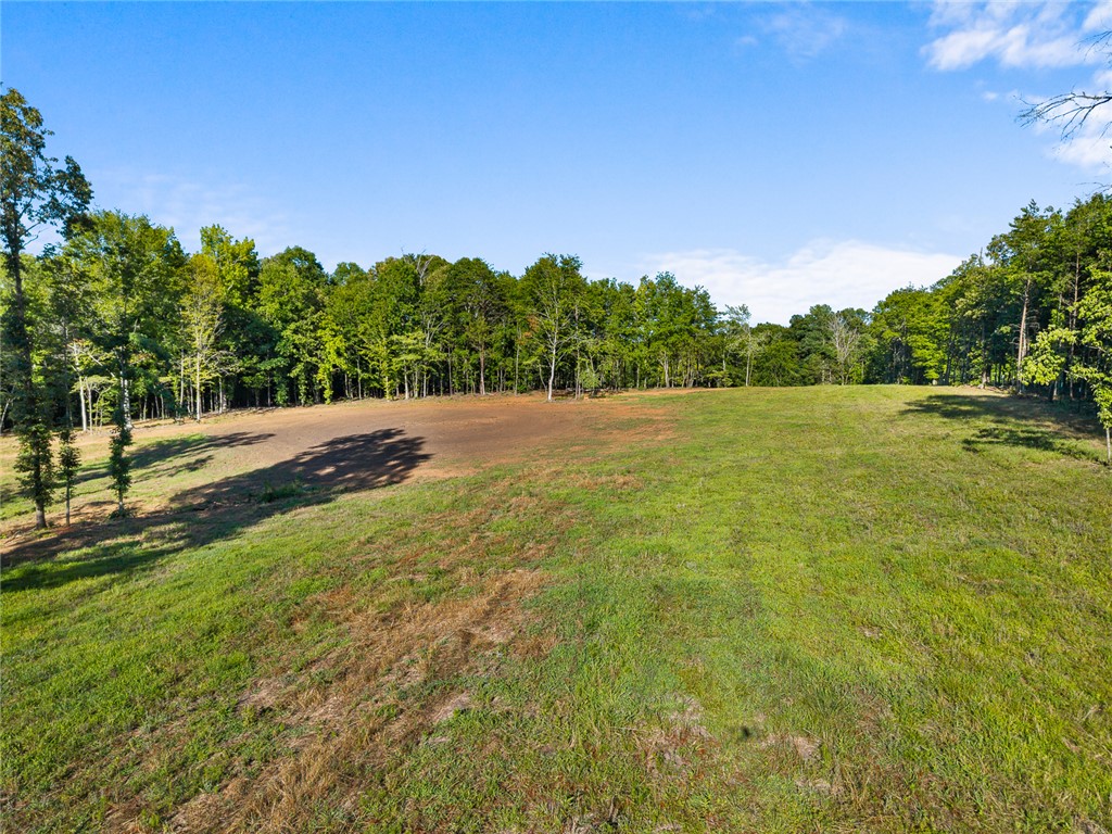 75 Hidden Acres Trail Pelzer, SC 29669 - Photo 20 of 32
