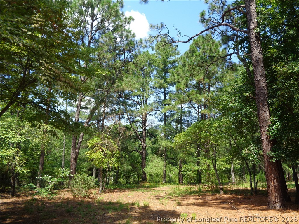 303 Archie Road West End, NC 27376 - Photo 41 of 45 Gallery Image 41
