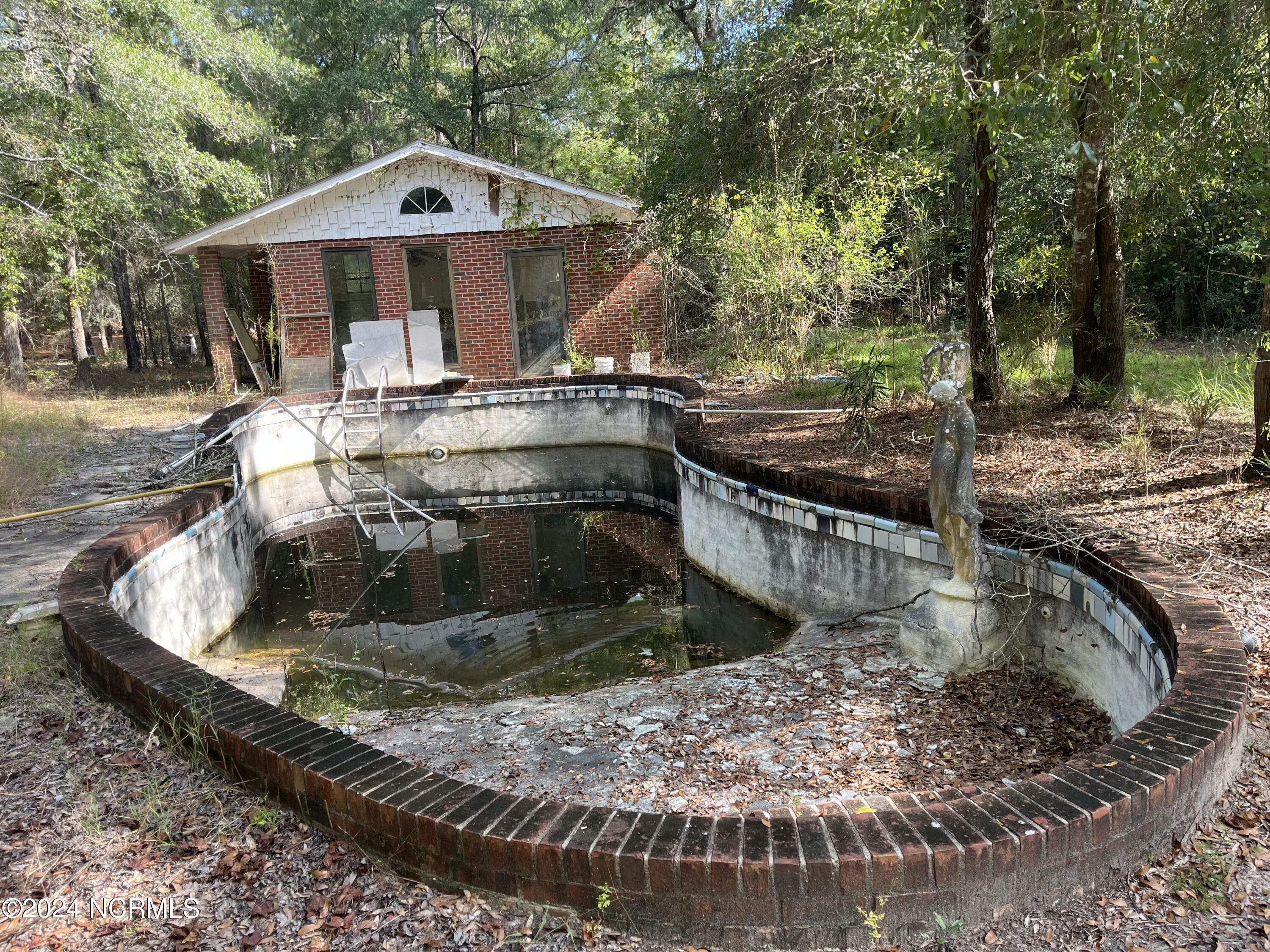 6715 Canetuck Road Currie, NC 28435 - Photo 72 of 74 Swimming pool.