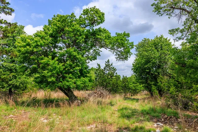 $1,095,000 | 2050 Adj Lane, Fredericksburg, TX 78624